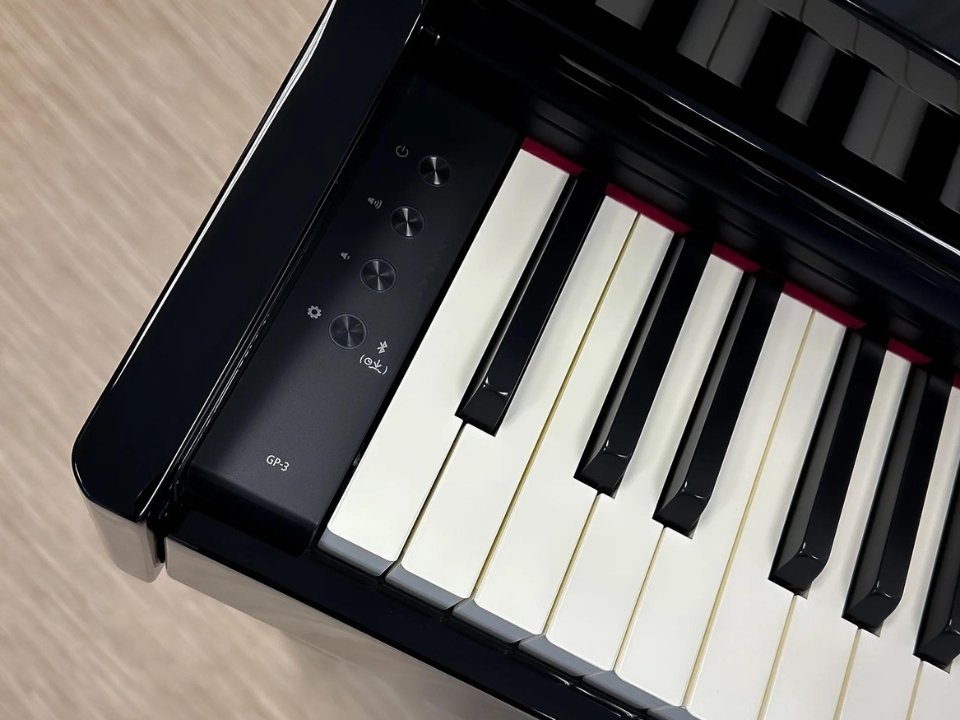 ROLAND GP-3 PE (Used) - Góc nhìn thực tế 6